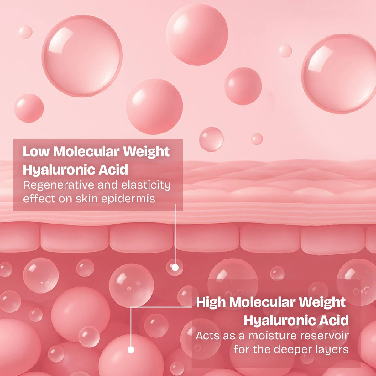 Illustration of skin with hyaluronic acid molecules, highlighting low and high molecular weight effects.